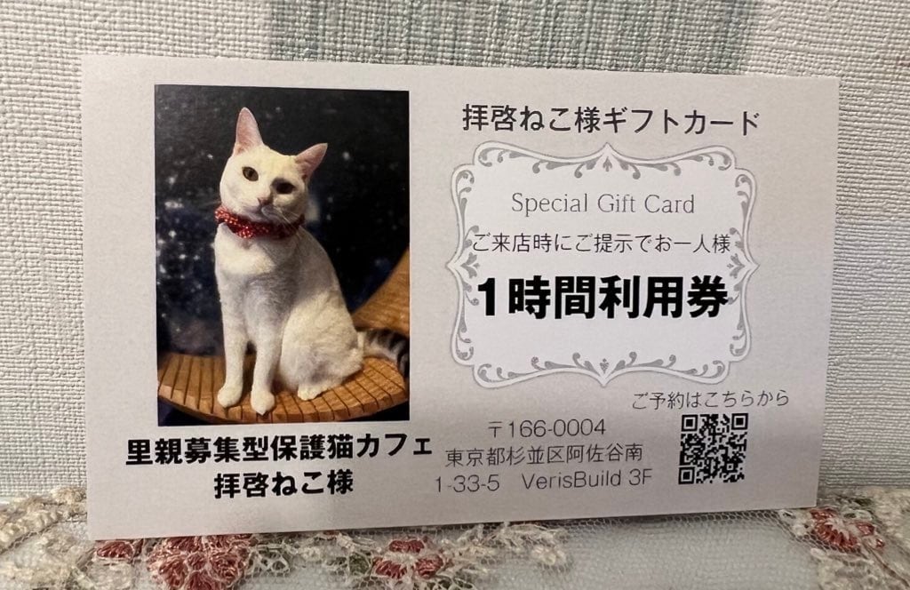 ねこ貴族 （by里親募集型保護猫カフェ拝啓ねこ様）