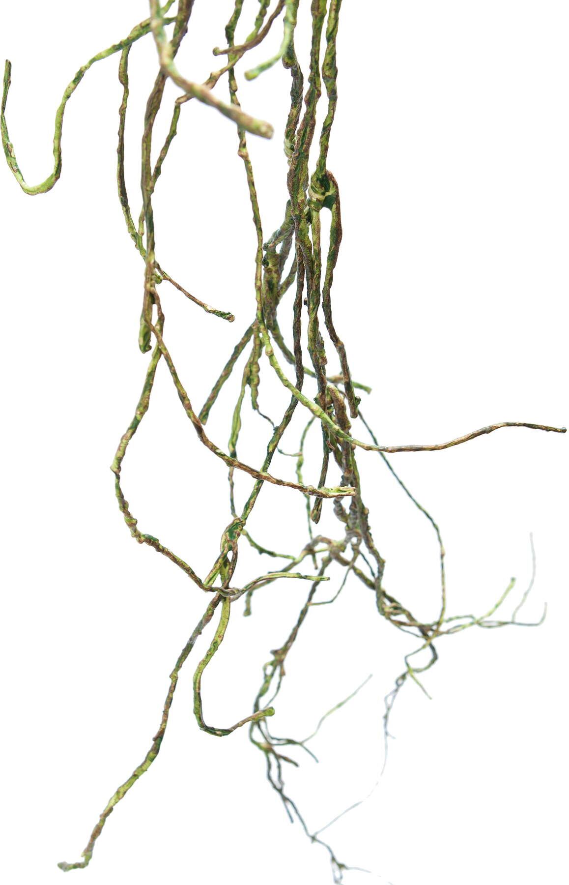 フレキシブルモスバイン　　FG-4668GR　4961823652851　造花（アーティフィシャルフラワー） > 定番造花グリーン（素材）