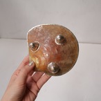 ぐるぐるシェルのトレイ