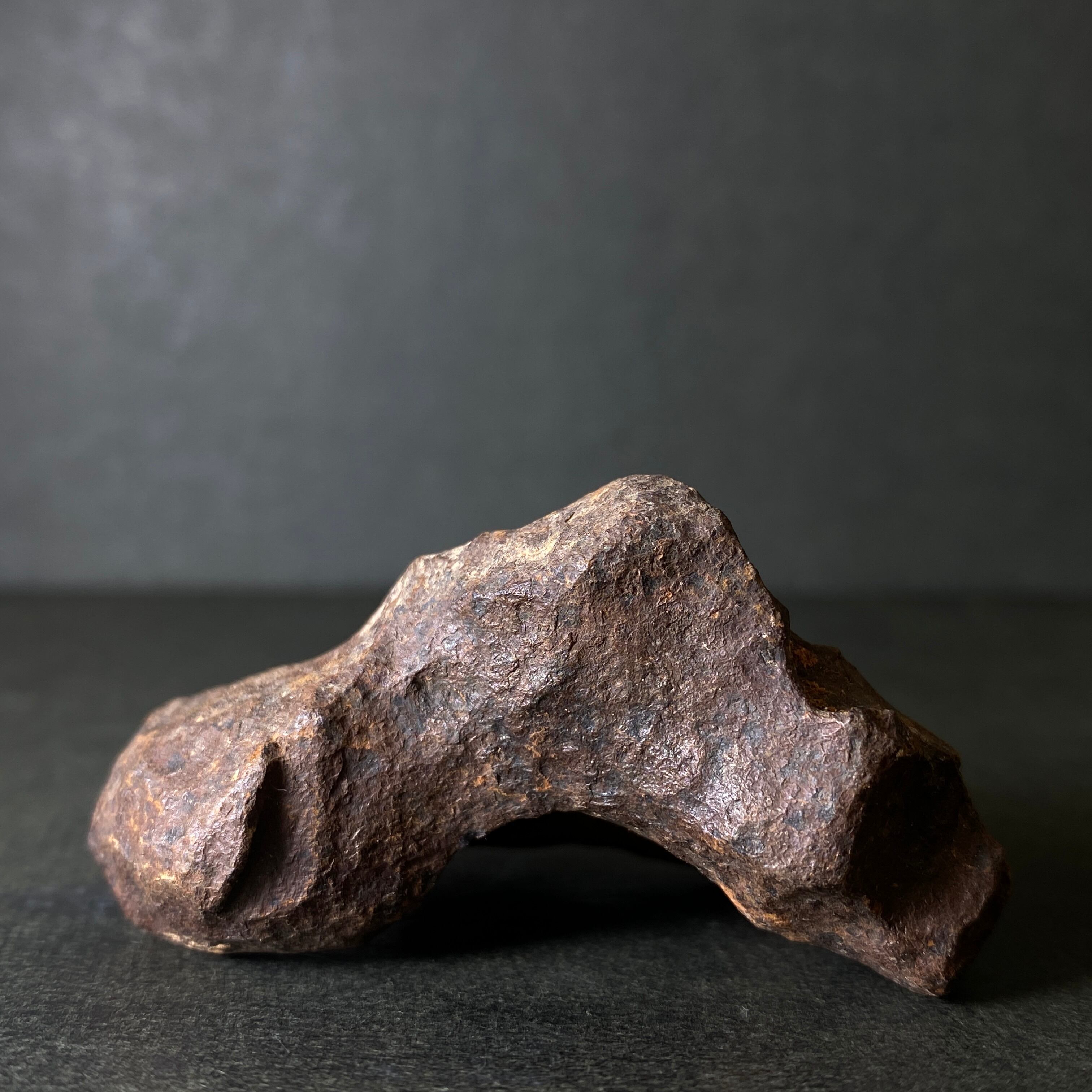 マンドラビラ隕石 大型】マンドラビラ隕石 Mundrabilla Meteorite 26061218 | 【隕石屋