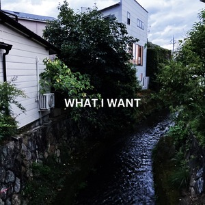 WHAT I WANT