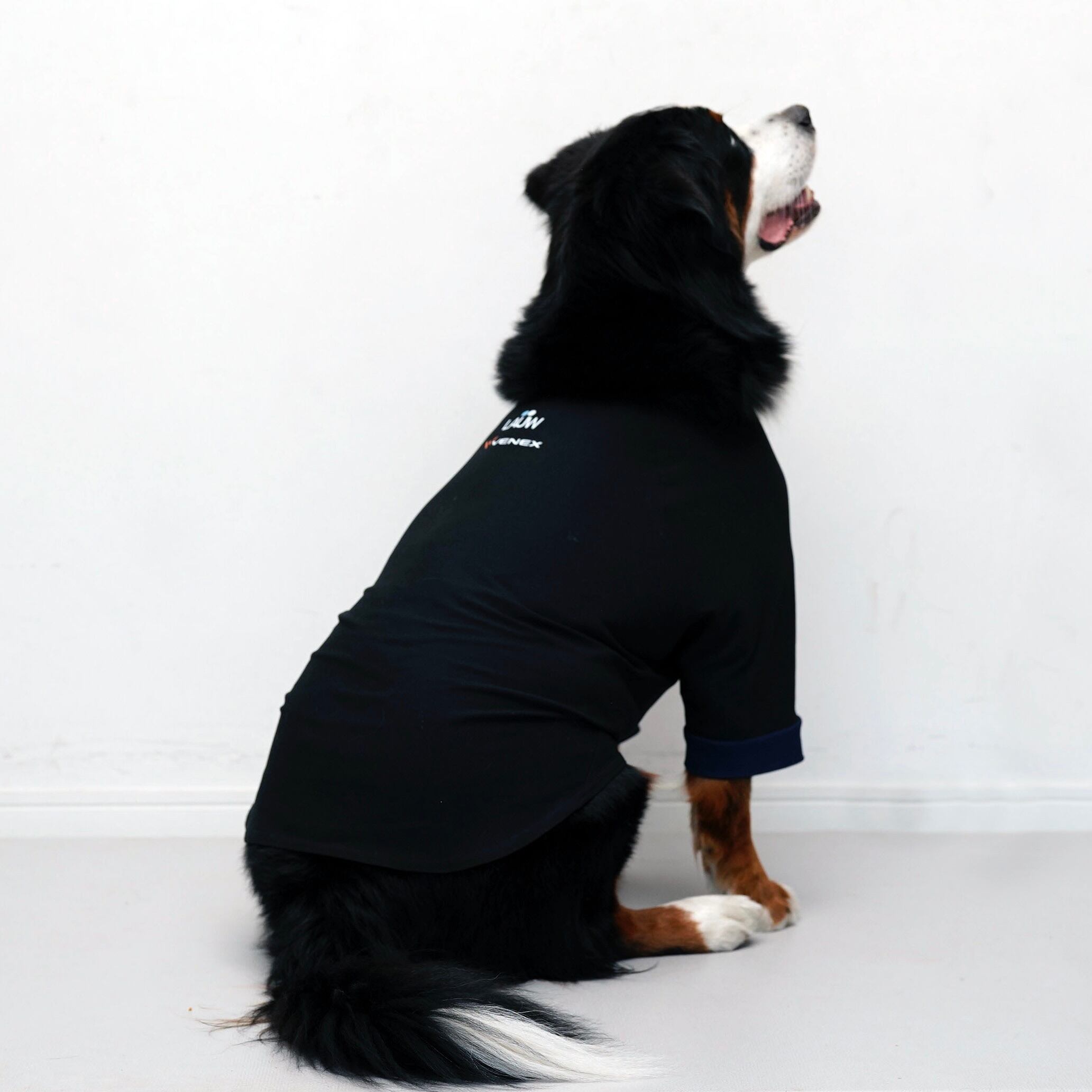 リカバリーDOGウエア LAUW × VENEX XLsize | LAUW（ラウー）