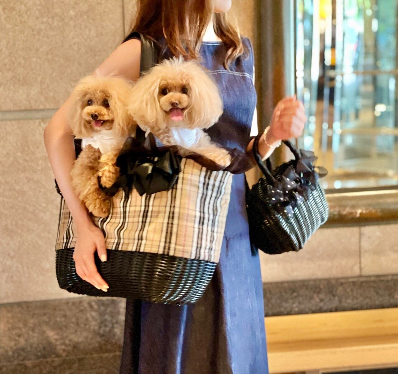 4キロまでサイズ タータンチェック バーバリーチェック リボン4個付き ショルダータイプ