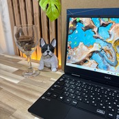 \ 公式ショップ限定価格❣️/ 準美品《windows11対応機種》NEC LAVIE 第8世代 メモリ8GB SSD256GB フルHD 軽量 ノートパソコン 安心サポート&3ヶ月保証付き