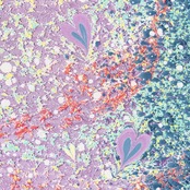 「星降る庭と月の影」ドット柄〜洗えるきもの（シルジェリー）〜