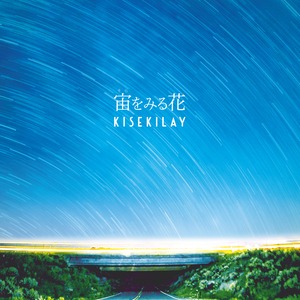 宙をみる花 / kisekilay