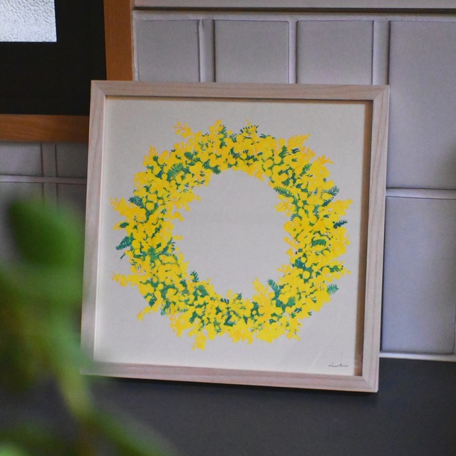 ミモザ（250×250）