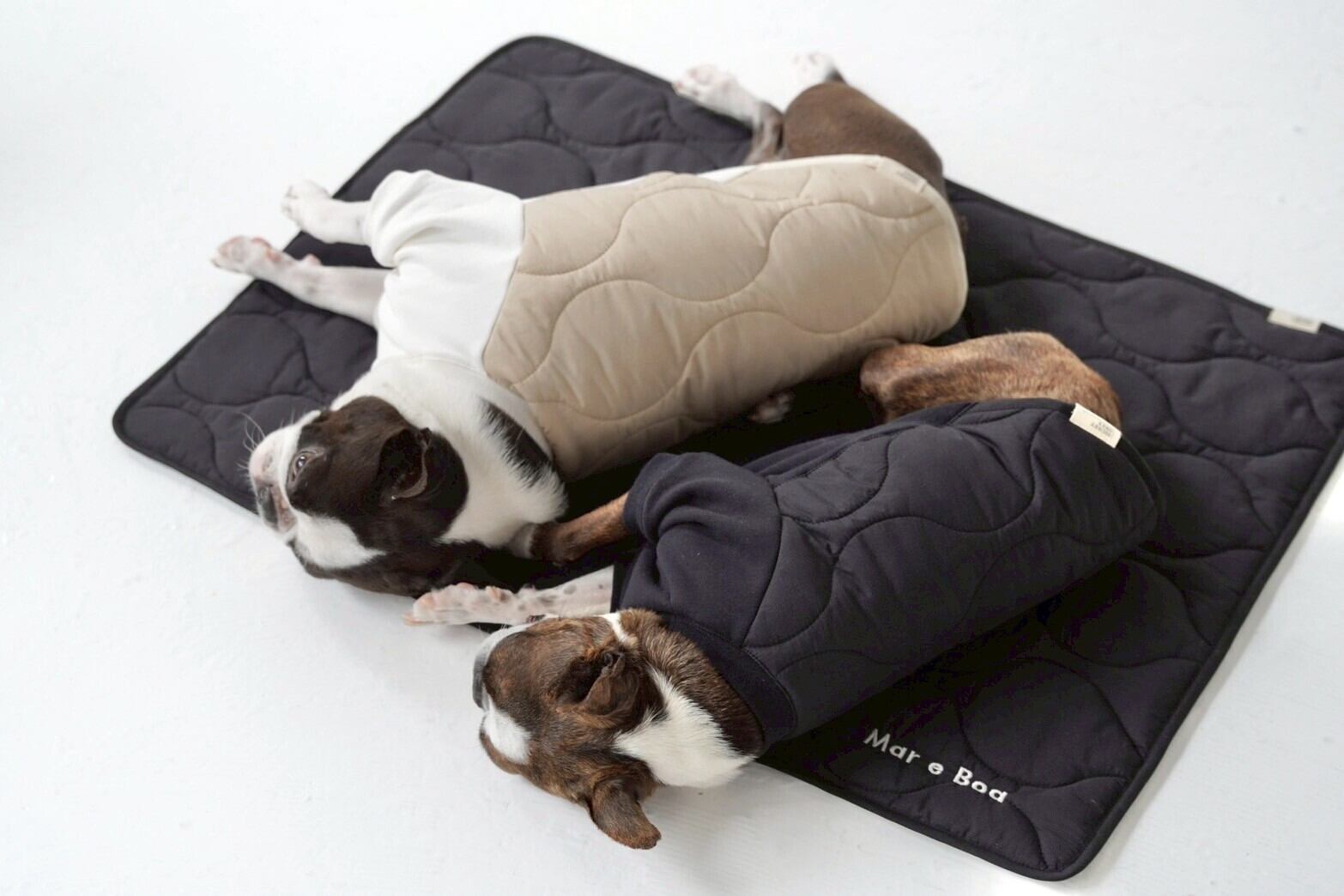 FUSION RAGLAN TEE（NYLON RIP） | Pay ID