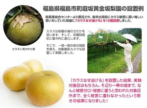 カラスなぜ逃げる? 強力タイプ お得な5個セット撃退率95％以上 カラス撃退 カラス対策 カラスよけ カラス除け からす 対策 グッズ 烏 からす カラス 忌避 駆除 車 鳥 糞 よけ カラス 撃退グッズ ゴミ置き場 鳥よけ ゴミ カラスよけ カラス 撃退 ベランダ ボックス