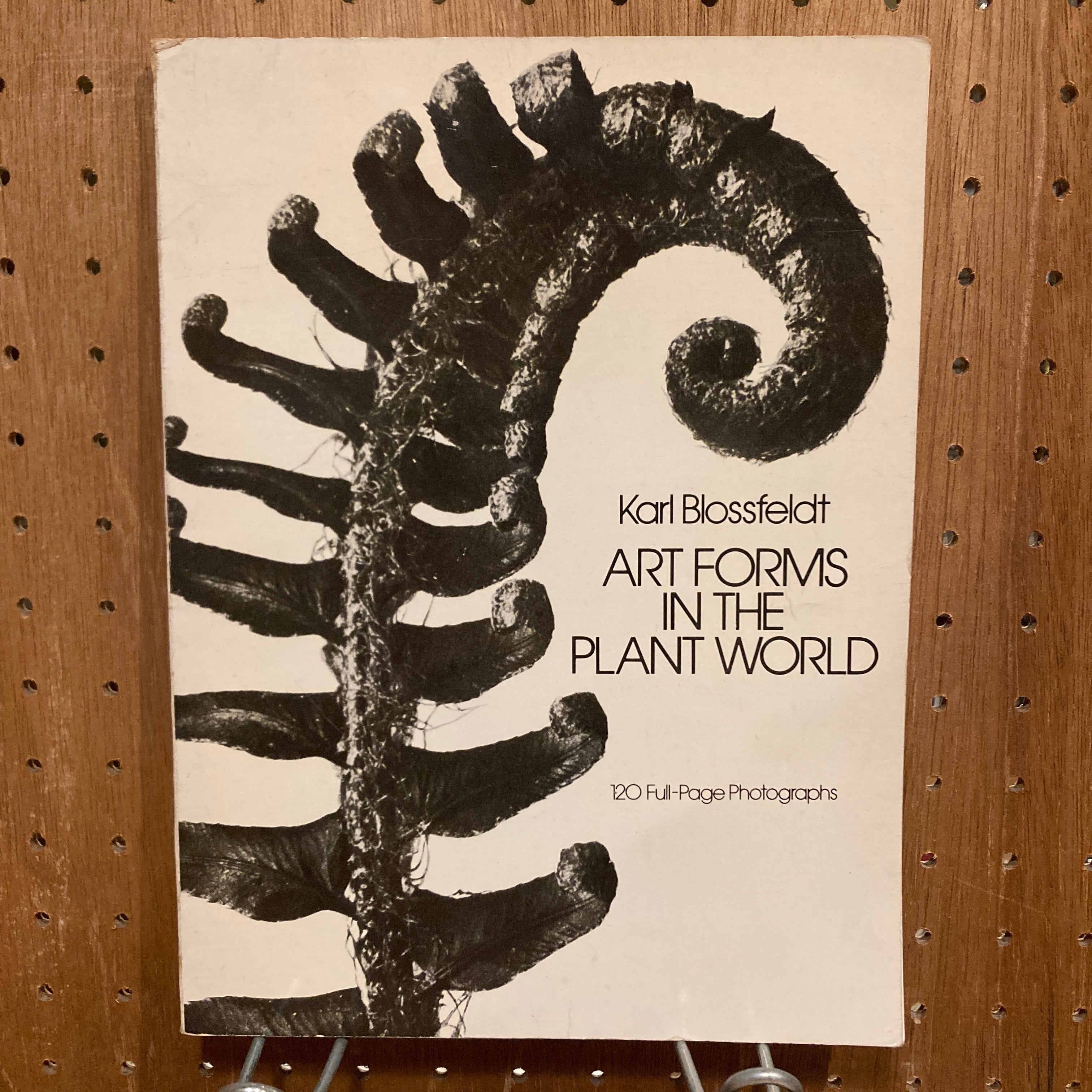 Art Forms in The Plant World / Karl Blossfeldt（カール・ブロス