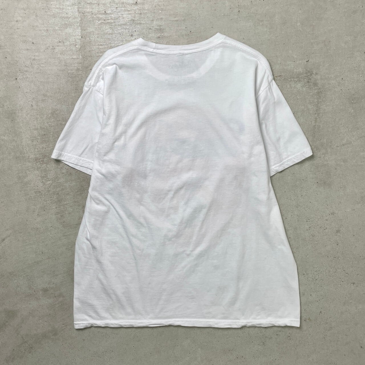 THE BEACH BOYS ビーチボーイズ バンドTシャツ バンT ツアーT メンズL 