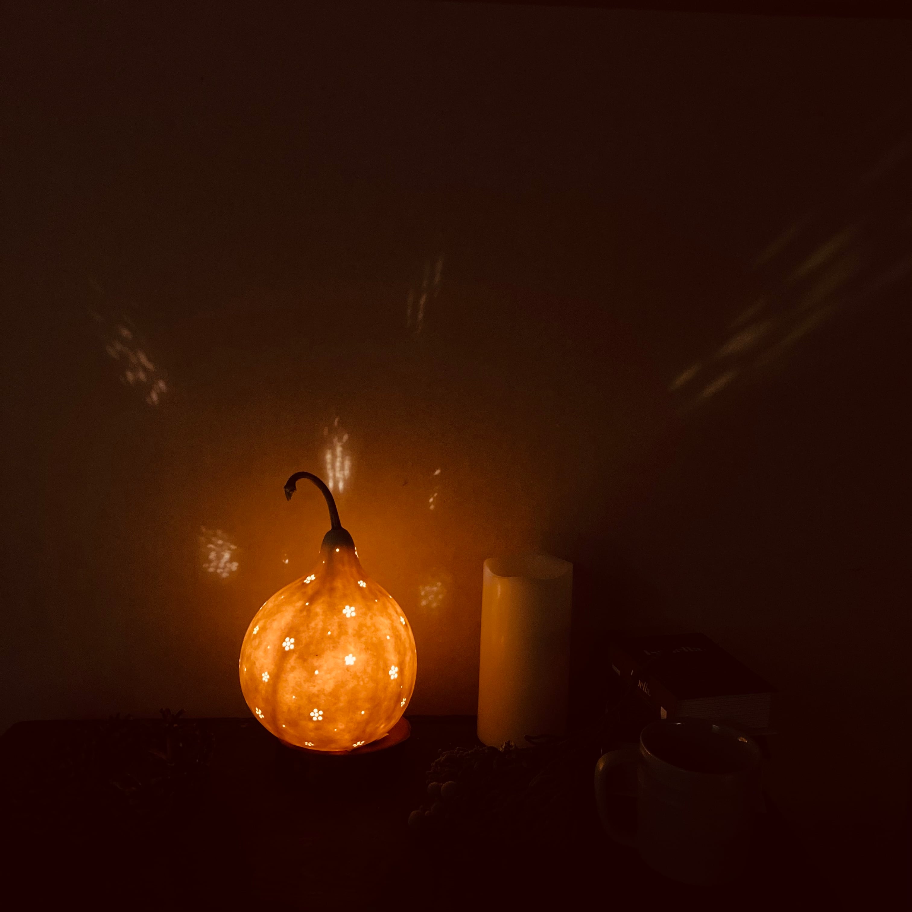 こつぼごけランプ10 | ひょうたんランプ専門店／奥入瀬ランプ工房