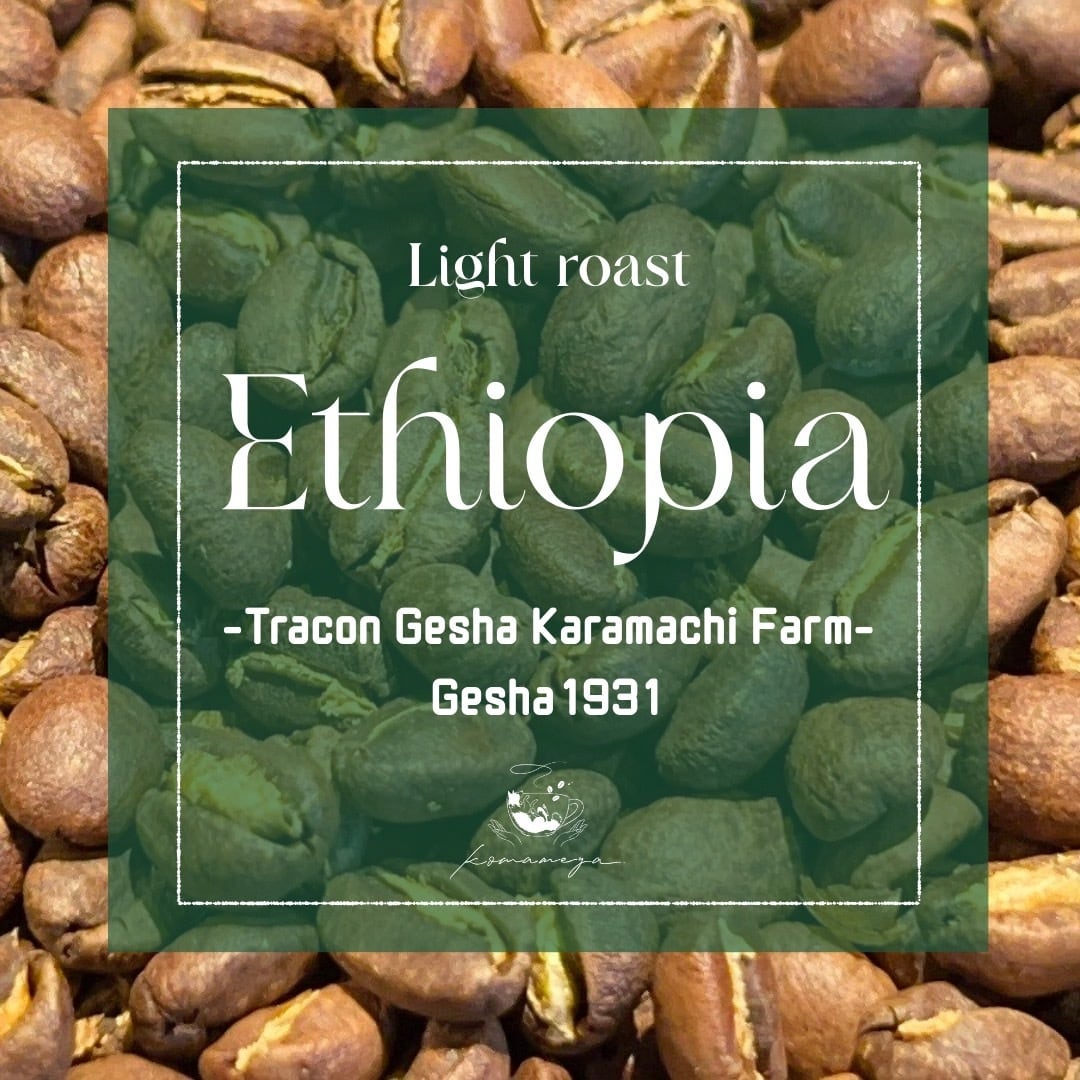 【エチオピア】Gesha Karamachi Washed |Light Roast