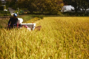 新米!奈良米 5分づき10kg|冷めても美味しい!奈良のヒノヒカリ 2025年 令和7年産