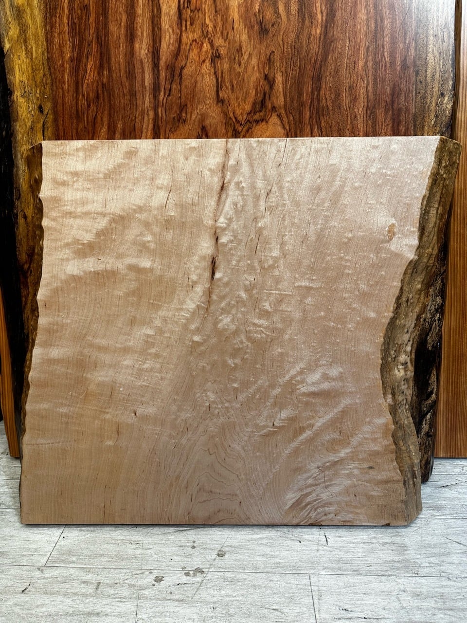 メープル_590×570-530-620×50_浅草本店_テーブル天板/一枚板 241445-2