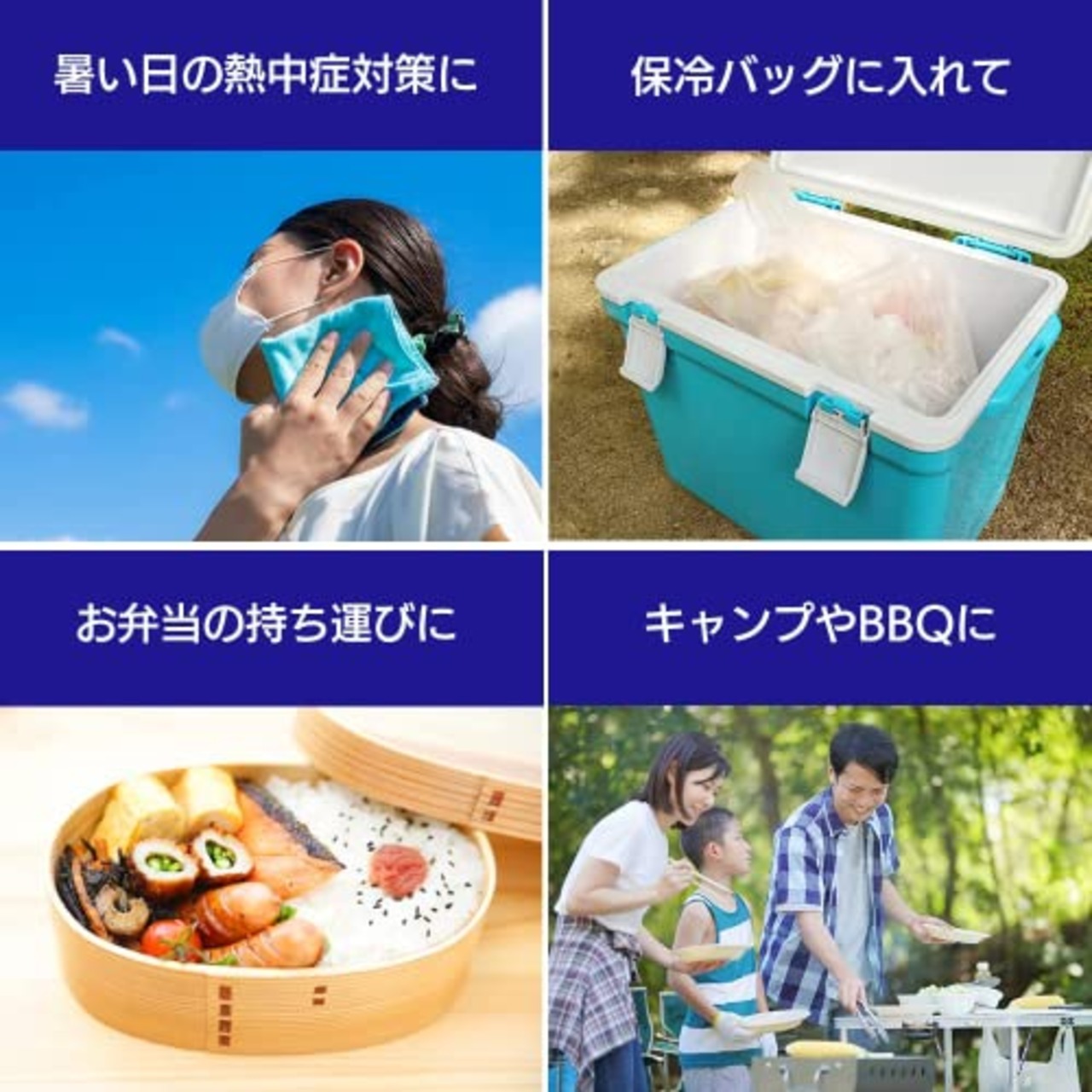 アイリスオーヤマ 保冷剤 ハード CKB-500