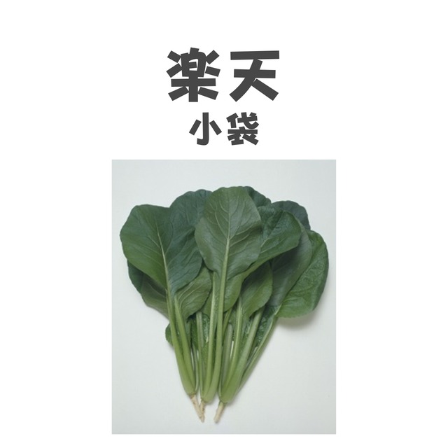 楽天　コマツナ種子・小袋