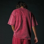 OG SMALL LOGO PIGMENT TEE