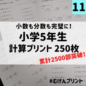 小学5年生算数計算学習プリント250枚、中学受験対策にも！