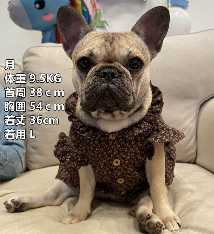 【ワンコインSALE、返品交換不可】KM414SK 犬服 秋冬 ワンピース フレンチブルドッグ 服 中型犬 小型犬 フレブル ブラウン 花柄 森ガール  お嬢様風 女の子 スカート レース フリル ワンピース 犬 ドッグウェア 犬服 ペット服 | DearKM ❤︎フレンチブルドック孔明