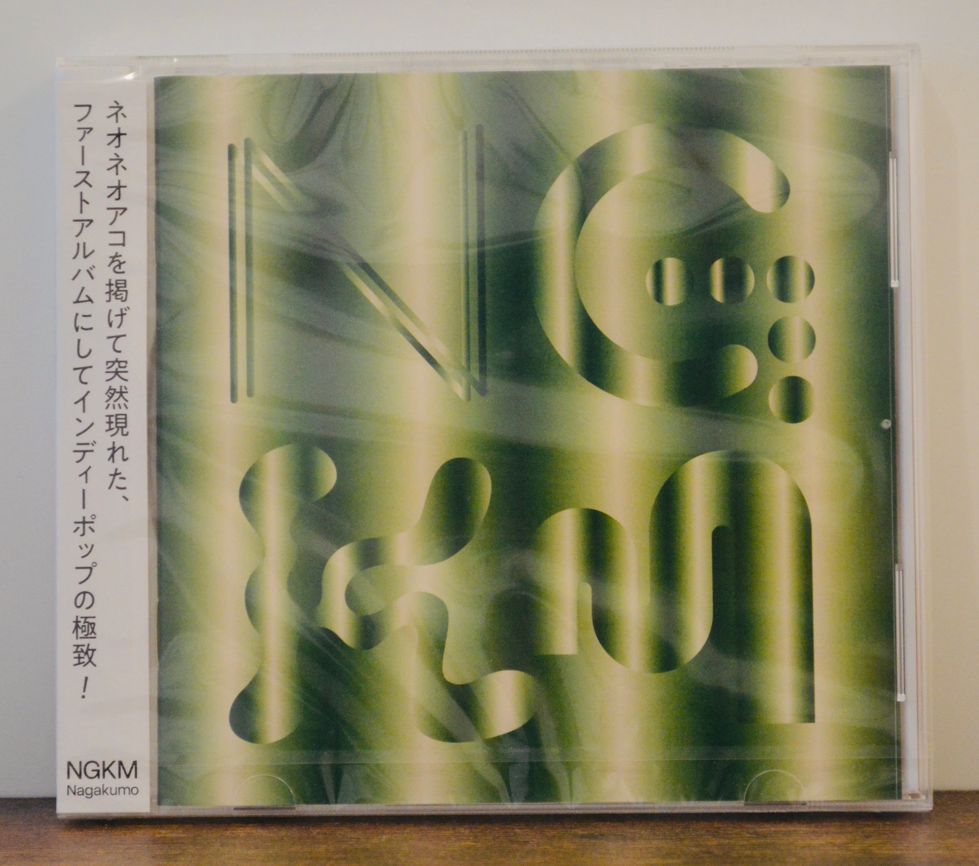 揺らぎ / Still Dreaming, Still Deafening | motion records
