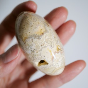 クレイジーレースアゲート イエロー / パーム