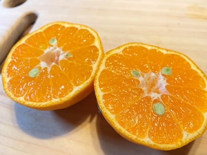 ポンカン【ご家庭用】サイズMIX10㎏（約70個～）