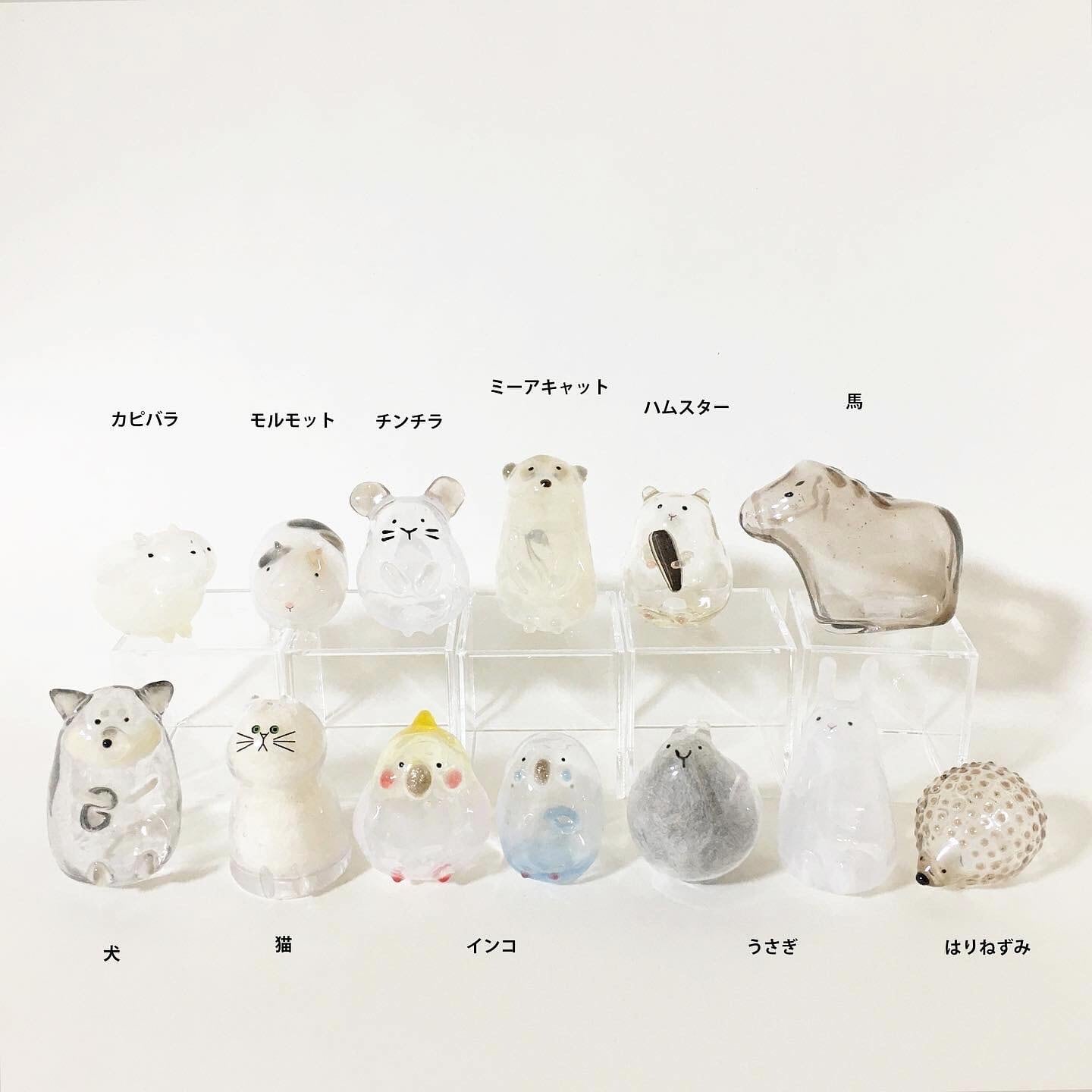 抽選販売【オーダーメイドMサイズ注文ページ】【2～3月お届け】 名入れ