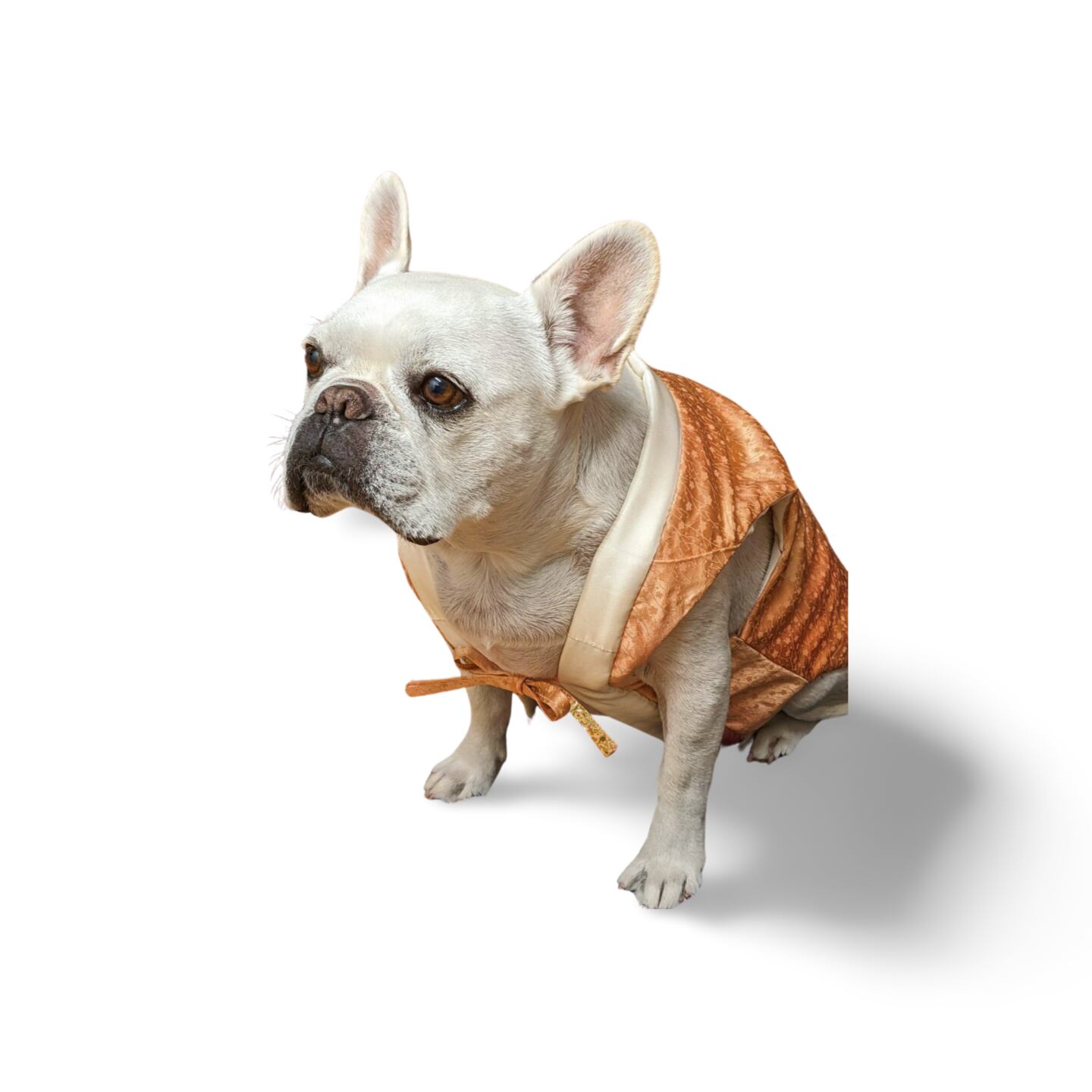 ハンドメイド犬服　Fujicco ハンドメイド犬服 Fujicco様専用 【公式通販】