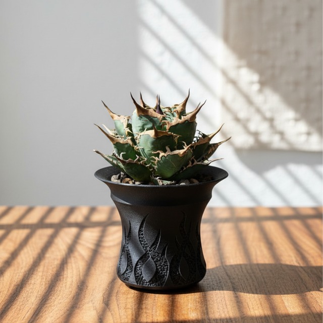 Heat【4号】3Dプリンター製植木鉢 アガベ、塊根植物向け高機能 | 3D