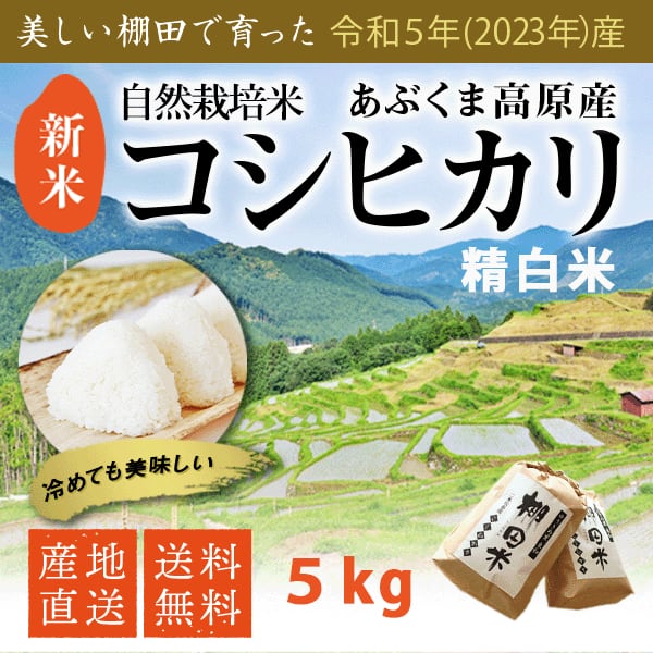 新米令和6年度☆農家直送☆福島県南会津産ひとめぼれ玄米20kg☆1等米