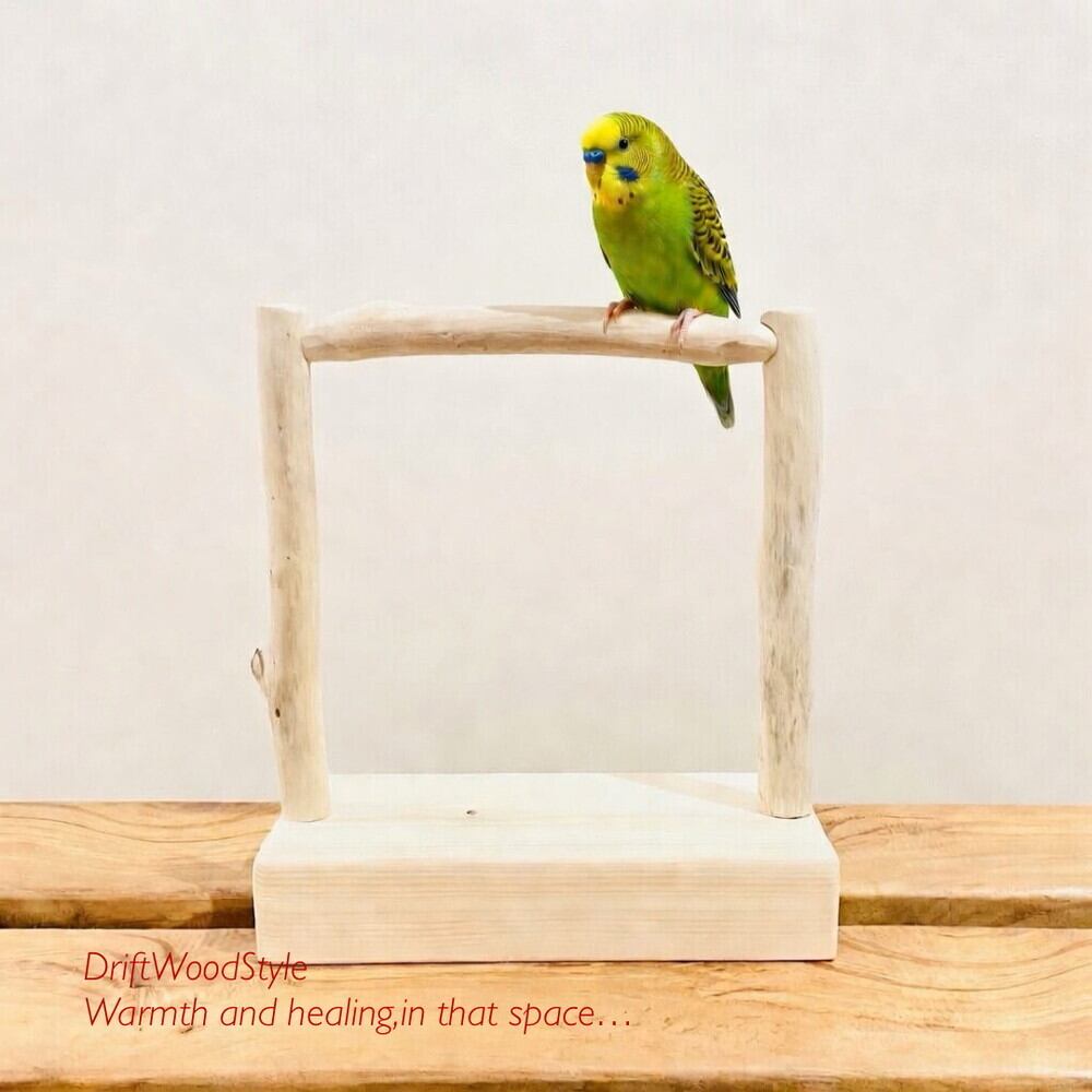 流木インテリア 小～大型インコが止まれる天然流木の小鳥の止まり木