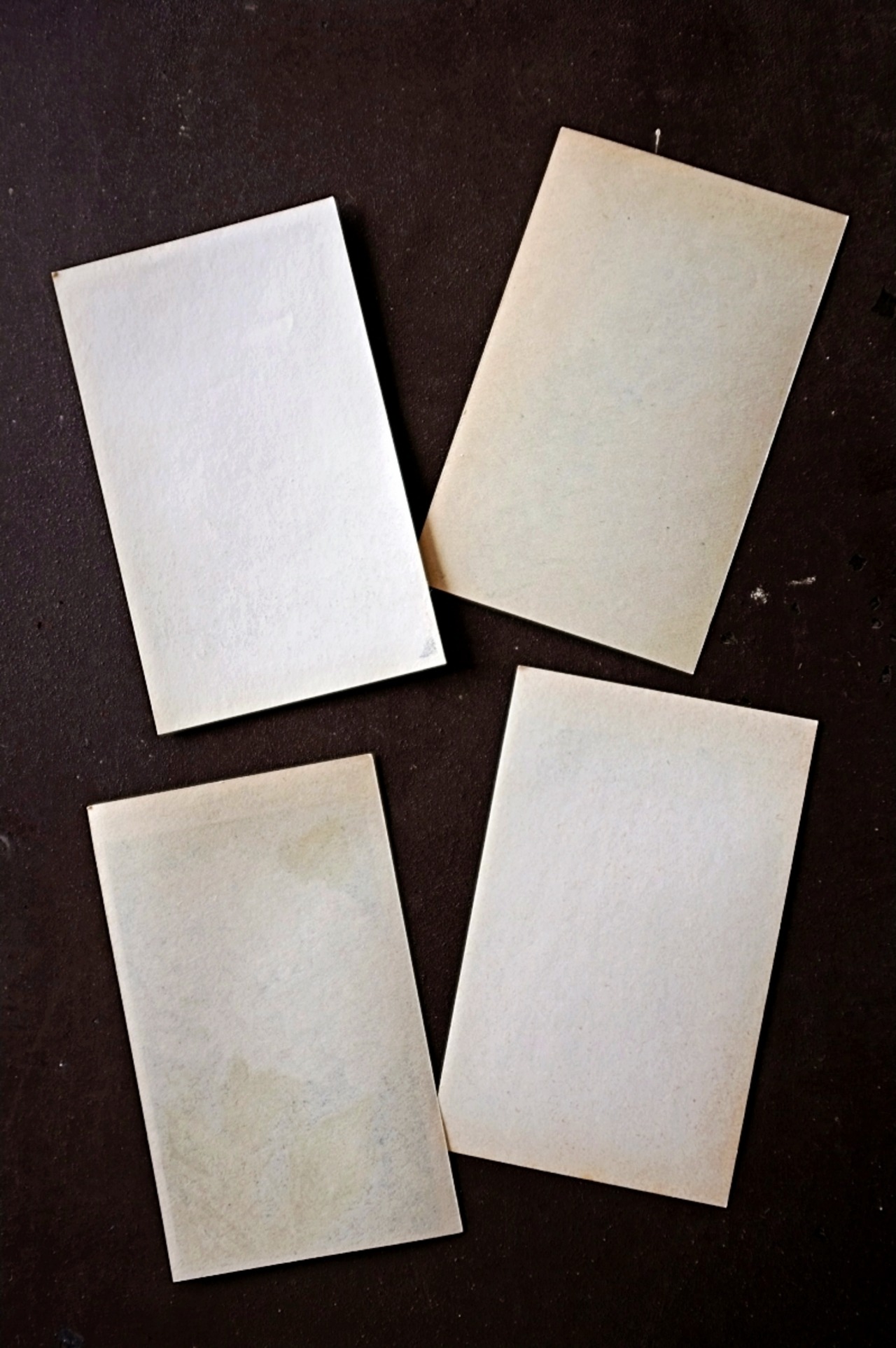 20s フランス 4set 膨満な花々と野菜たち 種子袋用ラベルw アンティーク