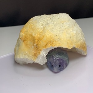 フローライトハリネズミの隠れ家・モロッコ産ジオード
