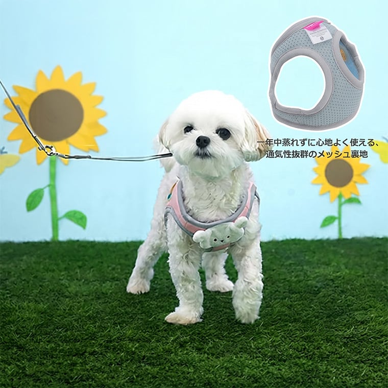 soft bear harness S ～ L 2color / 犬用 ハーネス 胴輪 リード 光る 夜のお散歩 メッシュ素材 サイズ 調節 通気性 可愛い 犬ハーネス お出かけ 散歩 小型犬 中型犬 韓国ワンコ服 クマ柄 お揃い