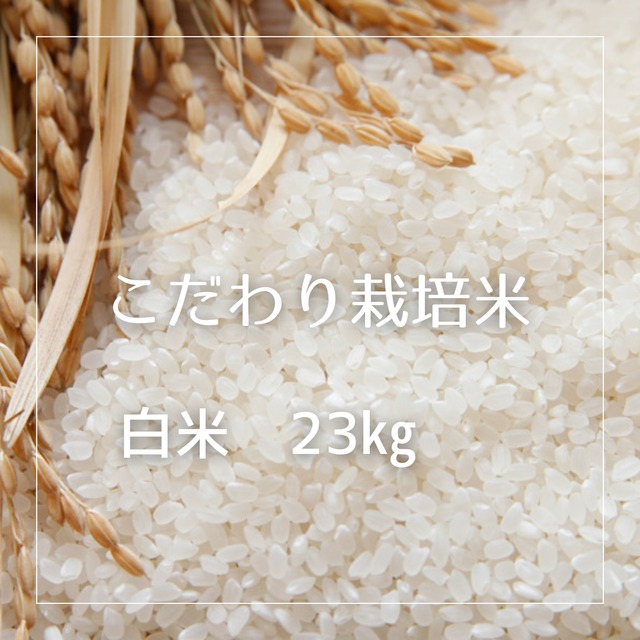 R7年産　冷めても美味しい　こだわり栽培米 白米 23kg