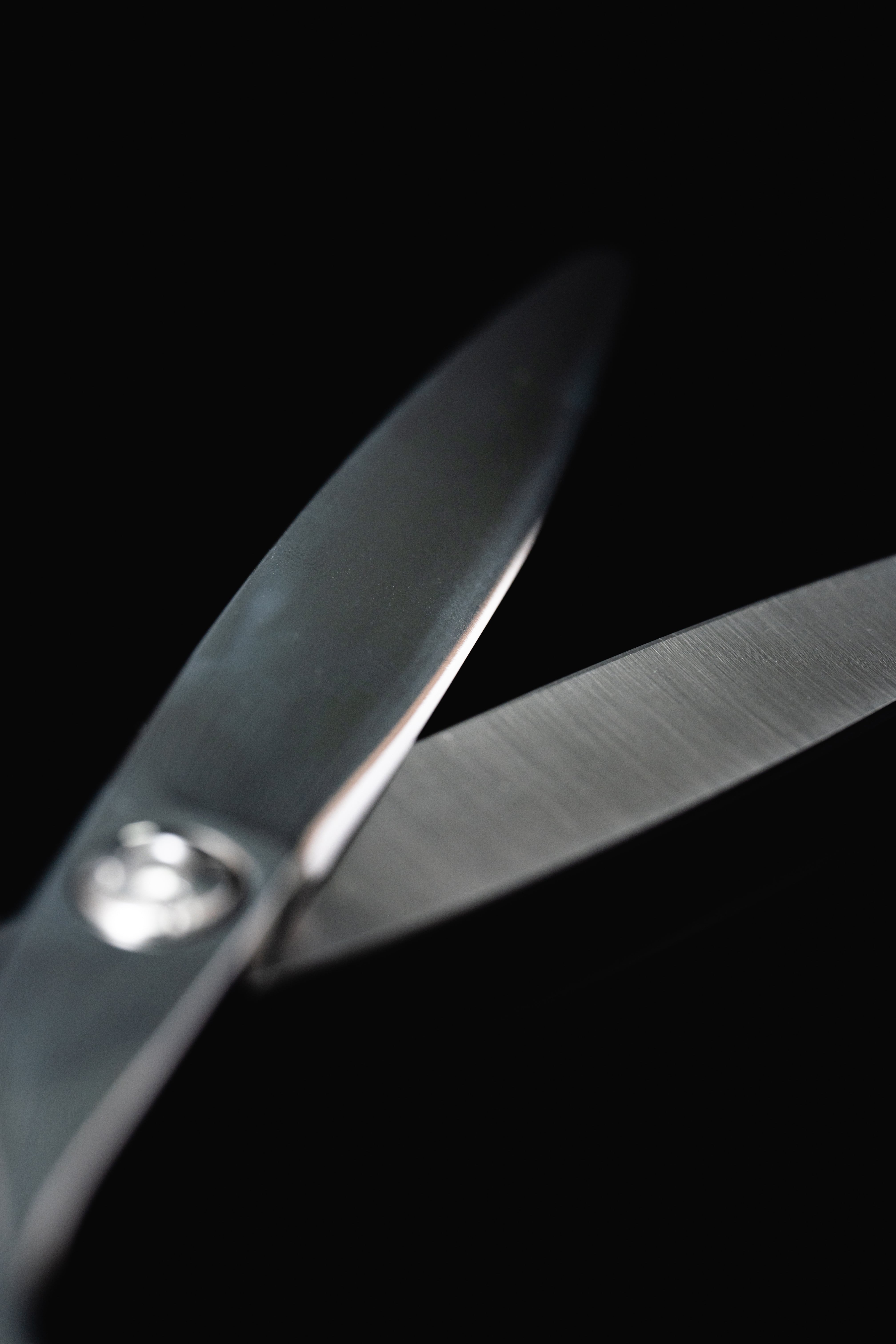 Heracles.D | credo8338