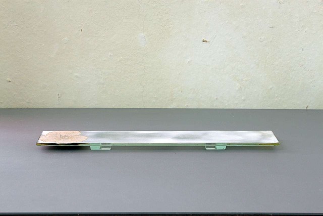 つづるガラスアート　ゆうなの花　HAKU長皿細3