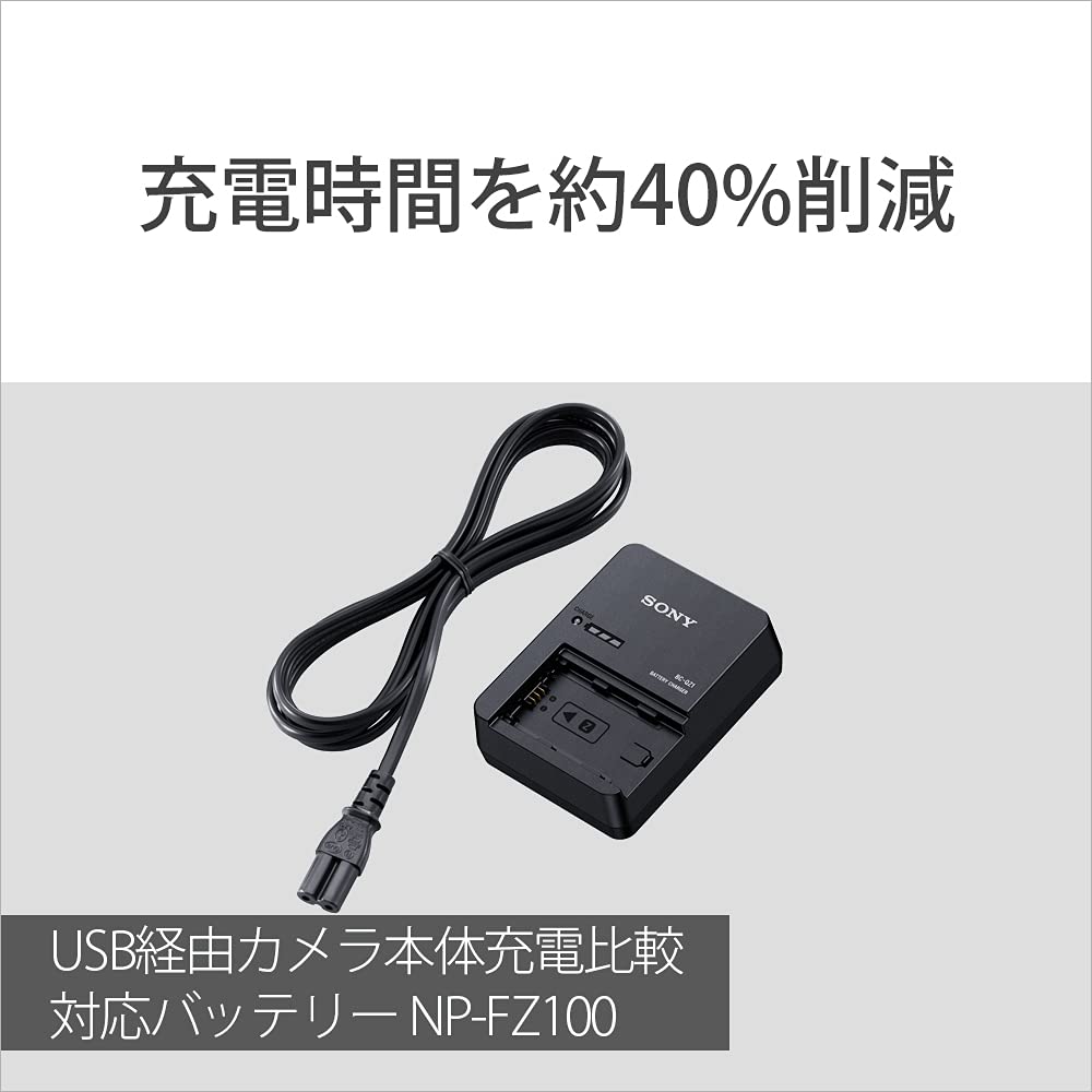 SONY(ソニー) バッテリーチャージャー BC-QZ1 | geisha Cat*