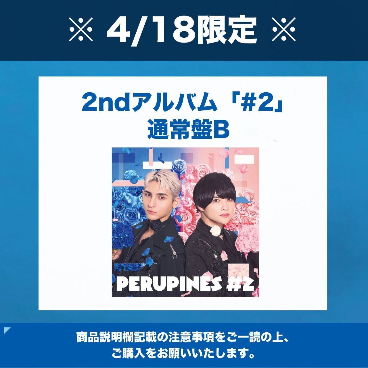 4/18 限定 】特典付き2nd Album 『 #2 』 通常盤B | PeruPines