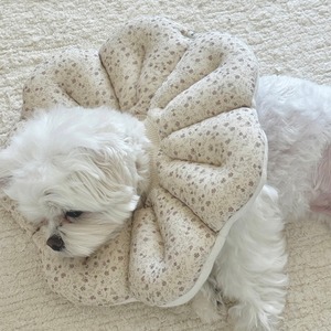 【即納】EYOU ピオナ ネックカラー（ソフトブロッサム）｜ラベンダー