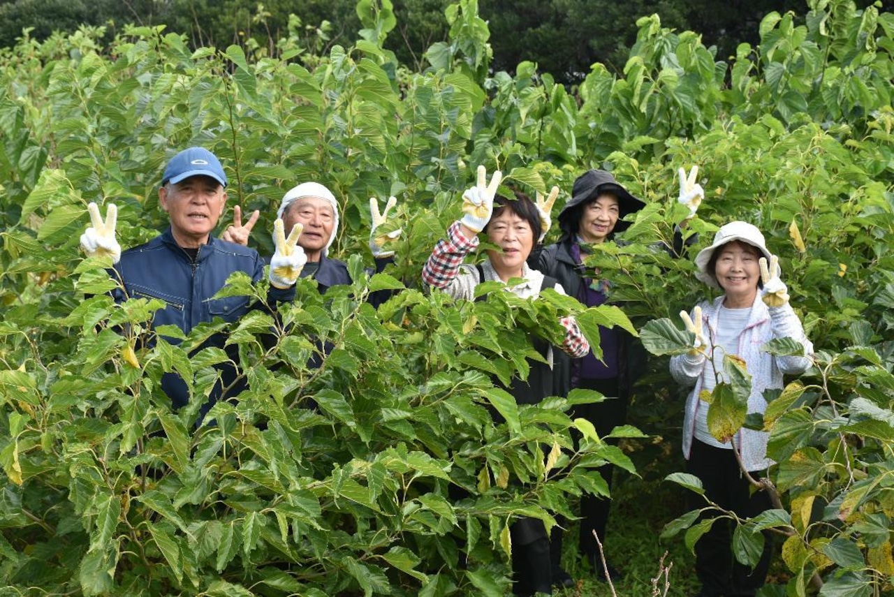 【Malberry】沖縄県産マルベリー(桑の実)とルバーブのジャム