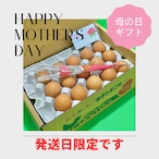 【Happy　Mother′s　Day】超早　母の日ギフト！！30％OFF【～3/31（日）までのご注文限定】にんにく卵（３０個）