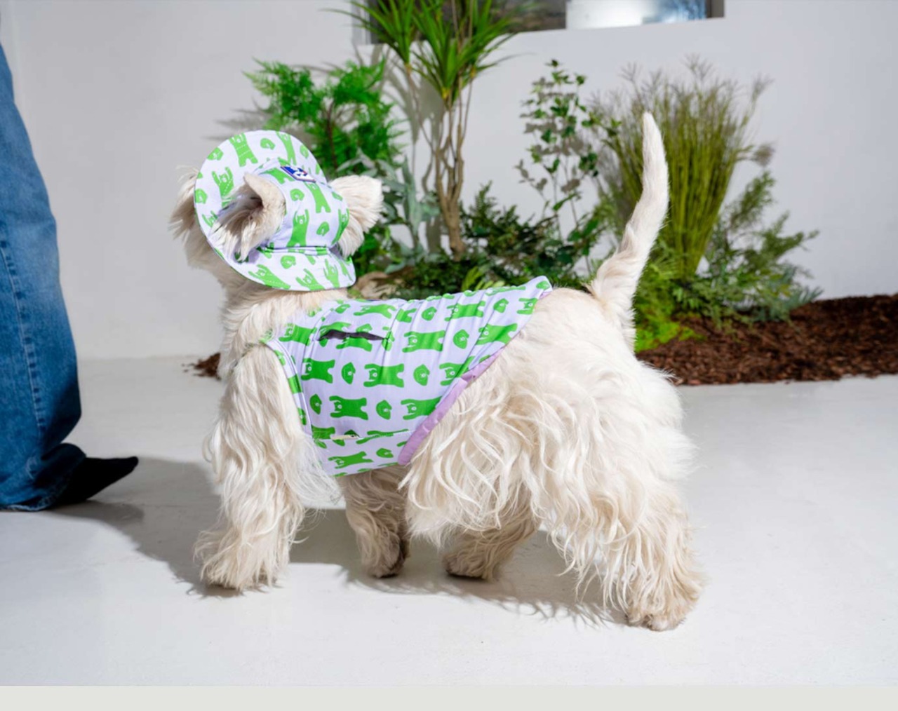 【PUPPYGALLERY公式】Bouncing Bear Tank Top　M