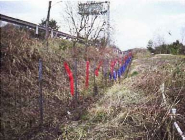 撃退シカ激臭シート10個入 15m用 シカ対策 激辛臭が約２倍の強力タイプ 効果は驚きの１年間！…