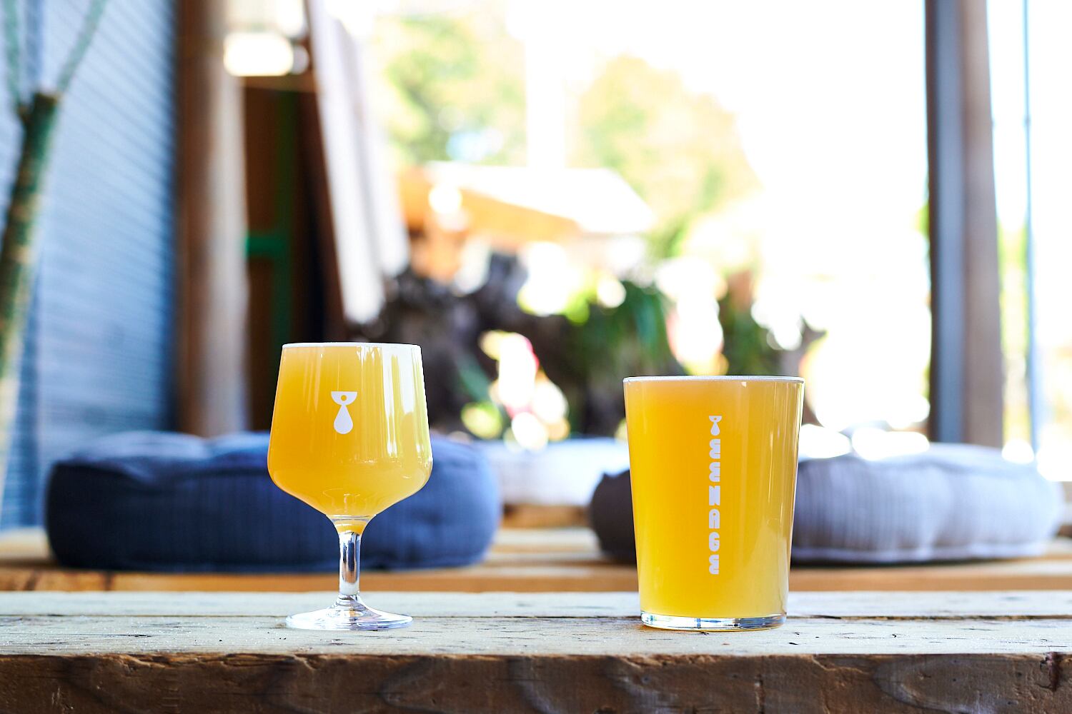 オープン記念限定】＜ premium pack ＞ 500ml缶×3本セット ＋