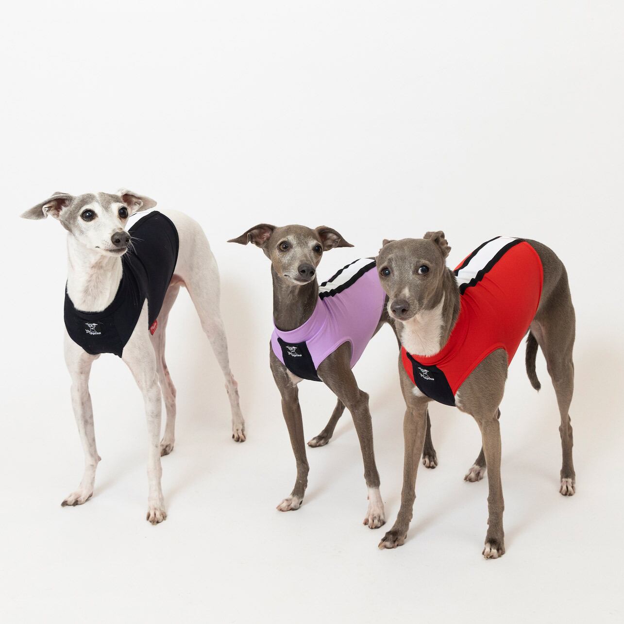 イタグレ☆タンクトップ スポーツタンクトップ black / イタグレ服 | イタグレ服【Pippino】