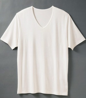【竹布】 TAKEFU VネックTシャツ・メンズ オフホワイト