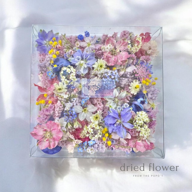 花材 | popo't〜ドライフラワーと雑貨のお店〜