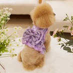 TinkerBell Harness パープル